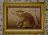 Fine Portrait of a Shrew