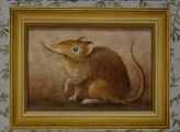 Fine Portrait of a Shrew