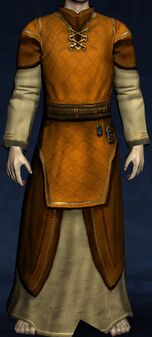 Robe of Leisure
