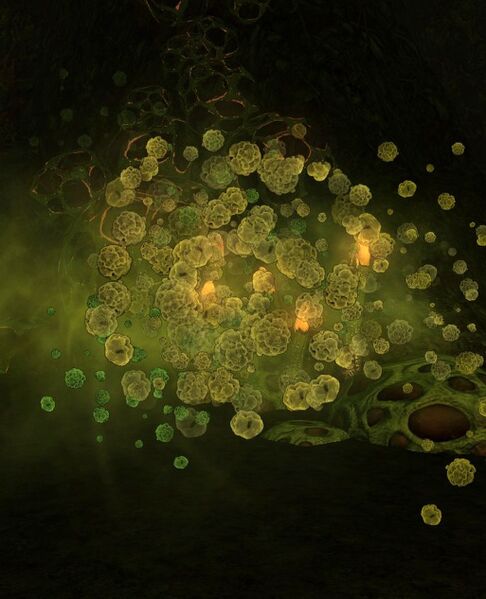 File:Suffocating Spore Cloud (Nagakhedi).jpg