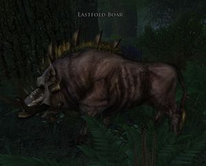 Eastfold Boar.jpg