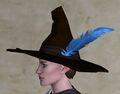 Hat of a Merry Fellow
