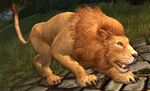 Savannah Pride-keeper