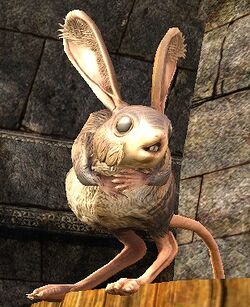 Striped Jerboa (side front)