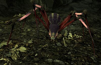 Ungol Stalker (Torech Ungol) - Lotro-Wiki.com