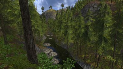 The valley is thick with conifer trees, making the Water into a forest river for a stretch.