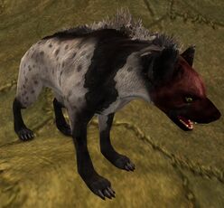 Black and Striped Red-maw Hyena Appearance Kingdoms of Harad Ultimate Fan Bundle