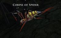 Corpse of Spider