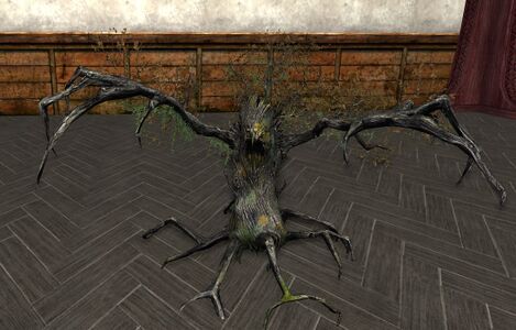 Fangorn Huorn