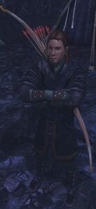 Image of Taurdir