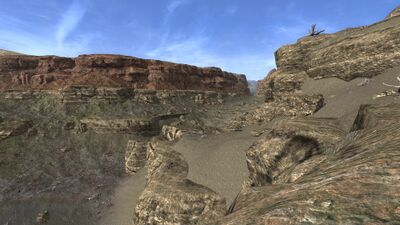 Whatever life was once sustained by the lake's water here is all but disappeared entirely.