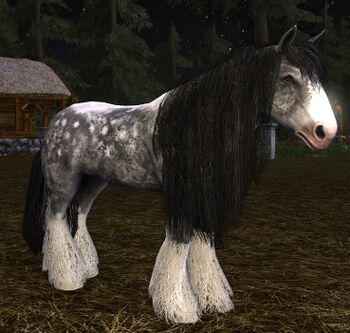 Dappled Grey Miniature Draught Horse