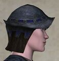 Reinforced Swift Coif of the Wayfarer (Side)