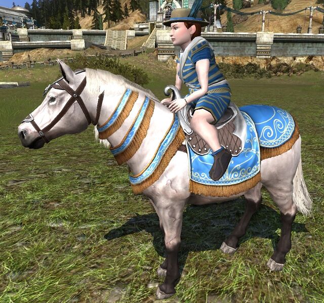 File:Sea-side Pony.jpg