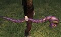 Forged Ram Walking Staff