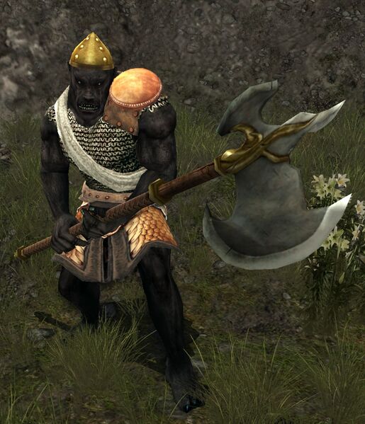 File:Half-troll Champion.jpg