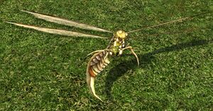 Small Harvest-fly.jpg