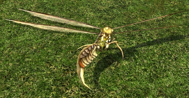 File:Small Harvest-fly.jpg