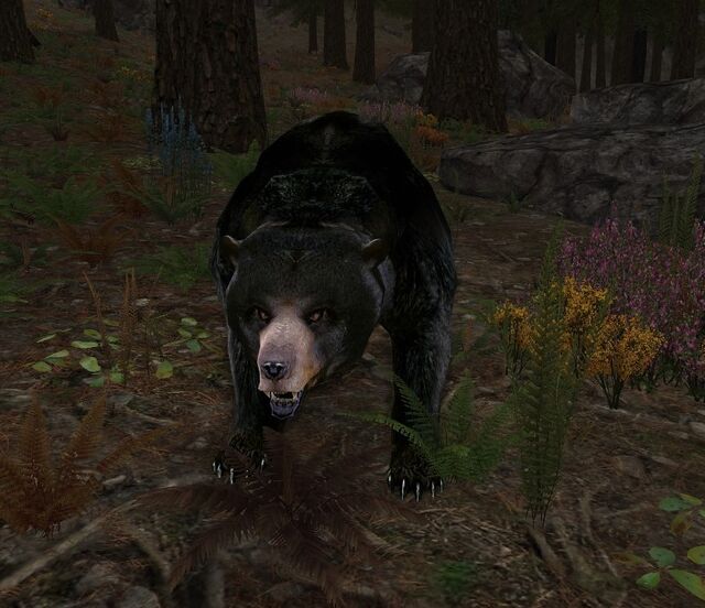 Vale-bear - Lotro-Wiki.com