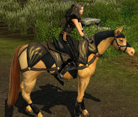 Image of Farmers Faire Horse