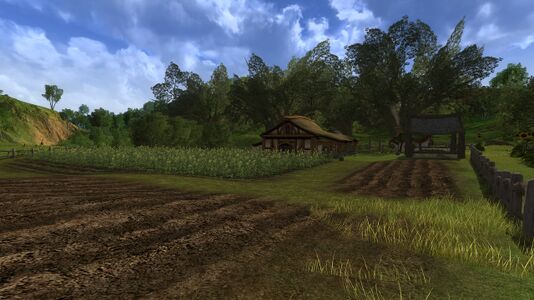 Pipe-weed field at Longo's Farm