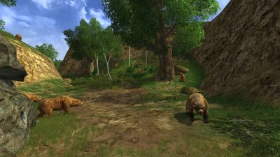 The valley of bears
