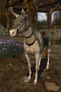 Image of Horse (NPC)