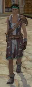 Image of Villager