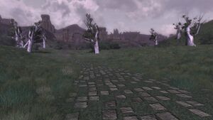 Fields of Fornost Road.jpg