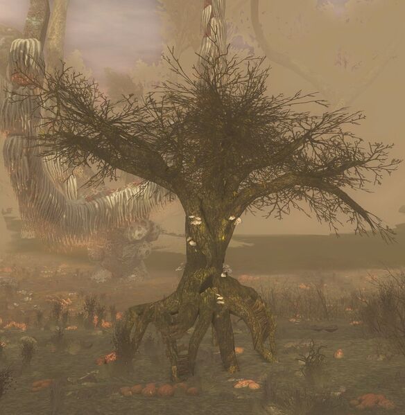 File:Kighân Rotting Moulder-wood (Mission).jpg