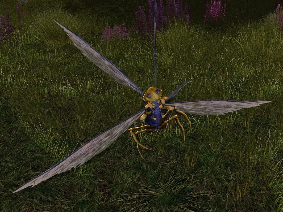 Troublesome Vale Fly Lotro Wiki