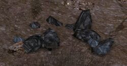 Image of Zajâni Rune-rock