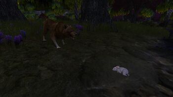Fighting Hare