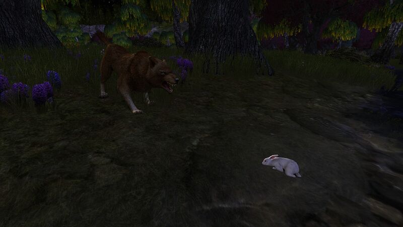File:Frightened Hare and Wolf.jpg