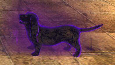 Shadow Nether-hound