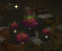 Image of Blight Mushroom