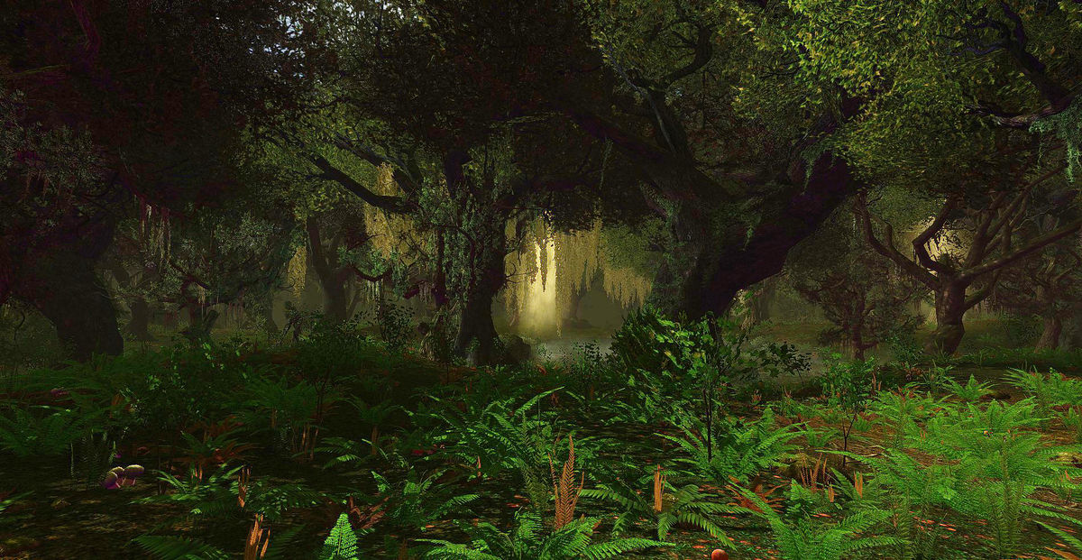 Eaves of Fangorn - Lotro-Wiki.com