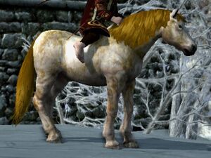 Fleabitten Coat: Bay