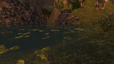 Passing through a serene pond, the Gaelos turns west-wards, into a large ravine.