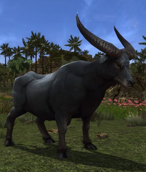 File:Plains Ox (Kighân).jpg