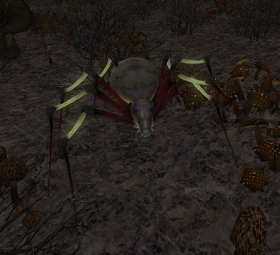 Mirkwood Ambusher (Eryn Lasgalen) - Lotro-Wiki.com