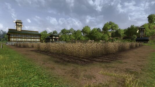 Field on the farm north of the work site