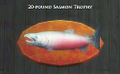 20-pound Salmon Trophy