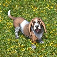 Mushroom Nether-hound