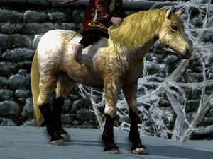 Shaggy Roan Coat: Tan