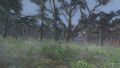 Thumbnail for version as of 16:42, 15 October 2025