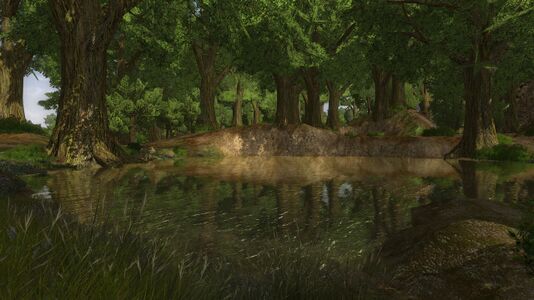 Quaint fishing pond in the deep woods