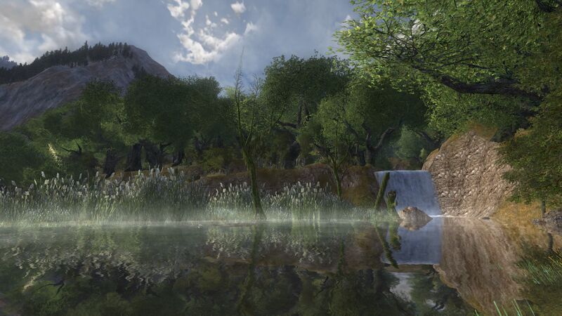 File:Forest Clearing.jpg