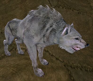 Warg Stalker Appearances - Lotro-Wiki.com