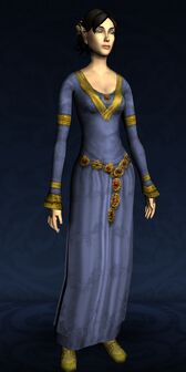 Blue Ceremonial Dress